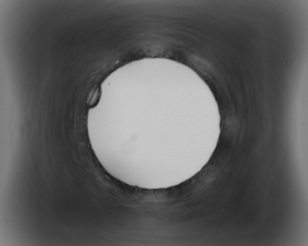 X0000082960865200703020210