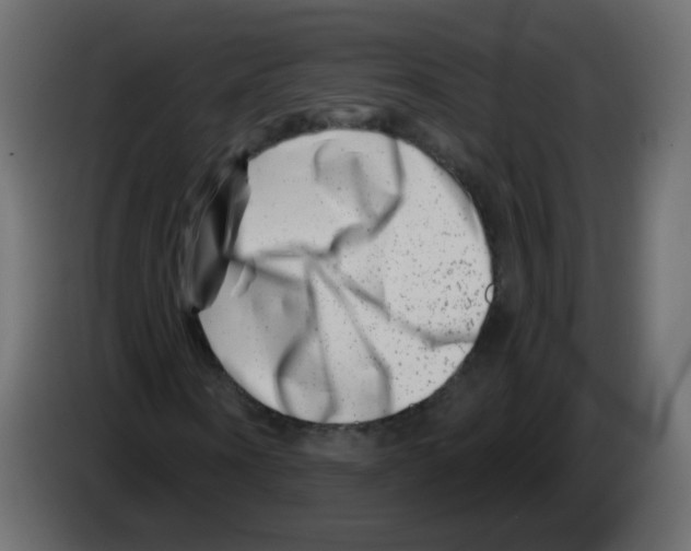 X0000082960866200703020210