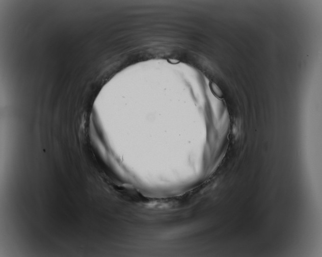 X0000082960867200703020210