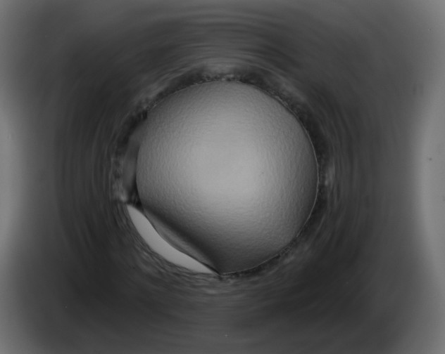 X0000082960868200703020210