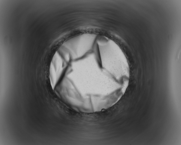 X0000082960870200703020210