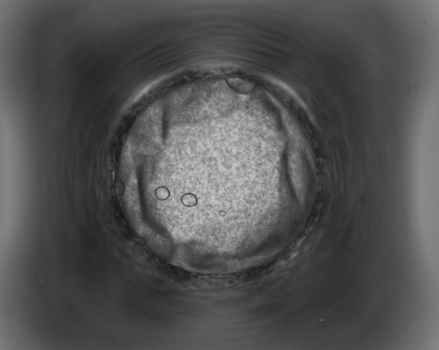 X0000082960871200703020210