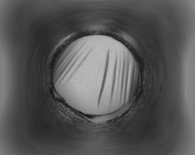 X0000082960872200703020210