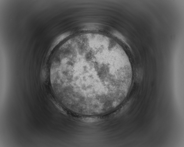 X0000082960874200703020210