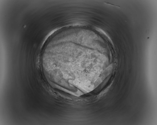 X0000082960875200703020210