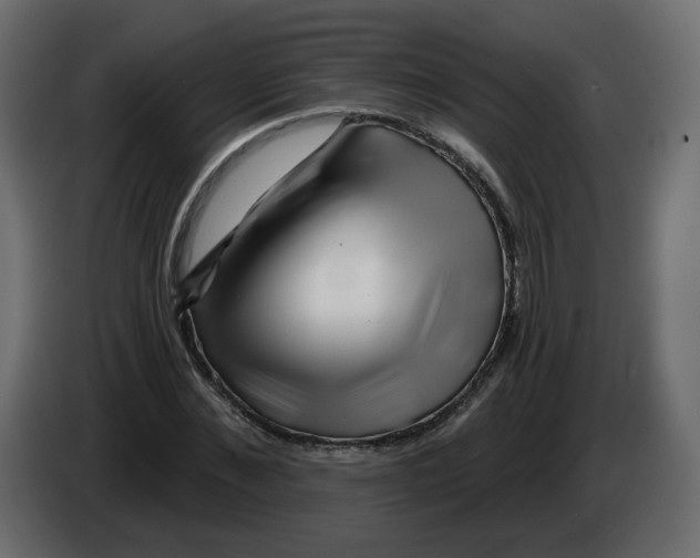 X0000082960876200703020210