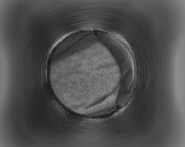 X0000082960877200703020210