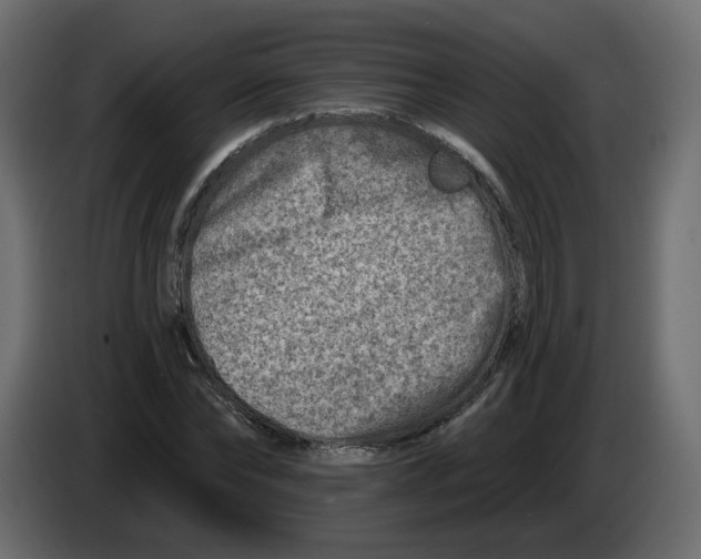 X0000082960878200703020210