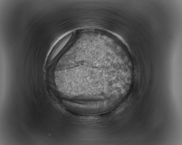 X0000082960879200703020210