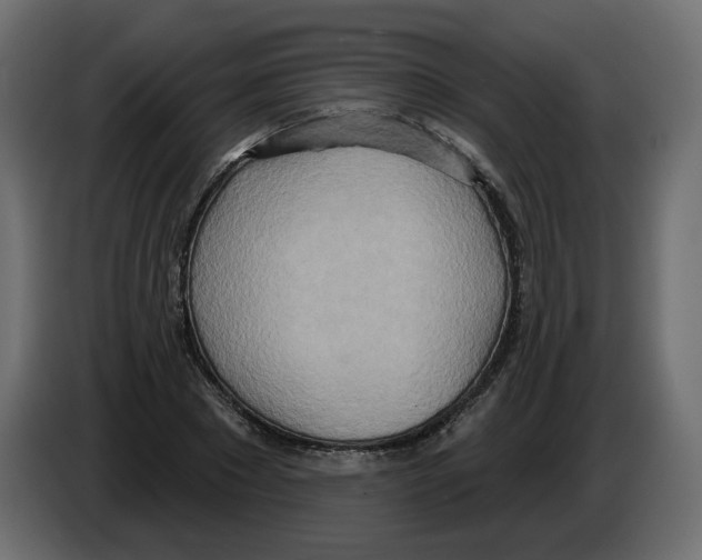 X0000082960881200703020210