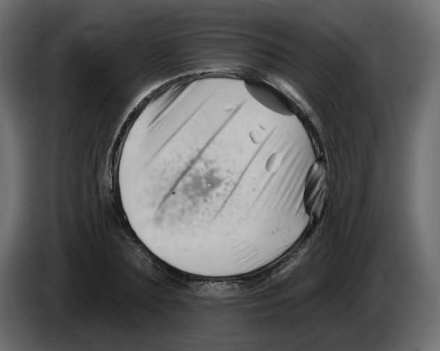 X0000082960883200703020210