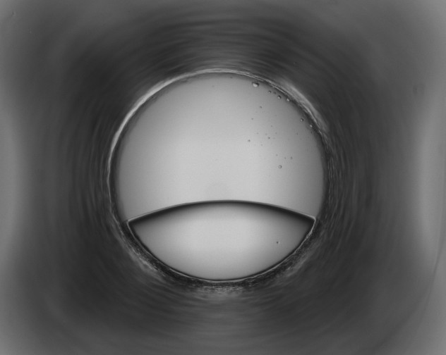 X0000082960884200703020210