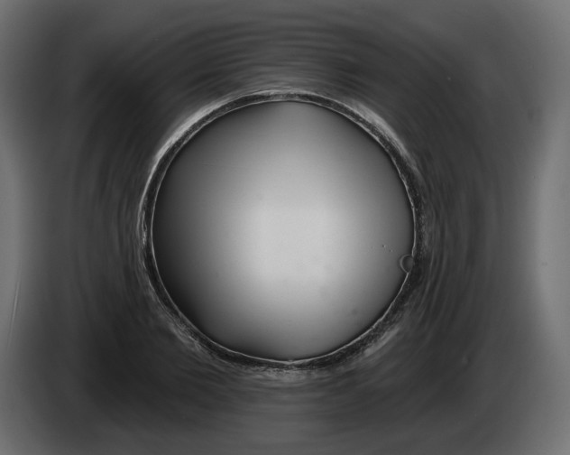 X0000082960885200703020210