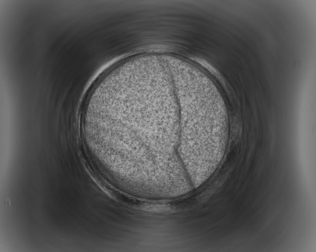 X0000082960886200703020210