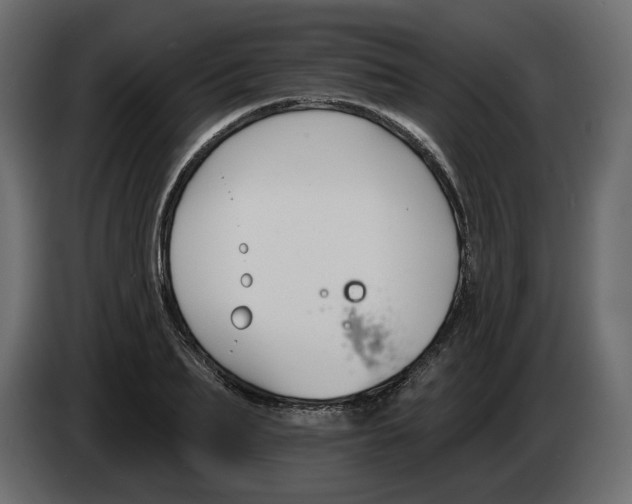 X0000082960887200703020210