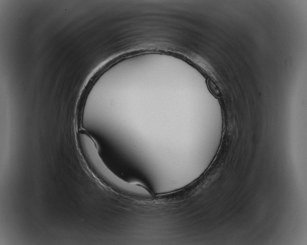 X0000082960888200703020210