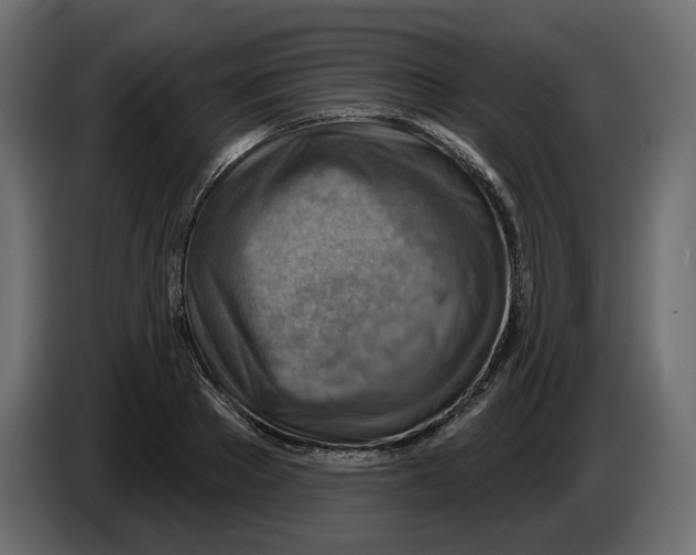 X0000082960889200703020210