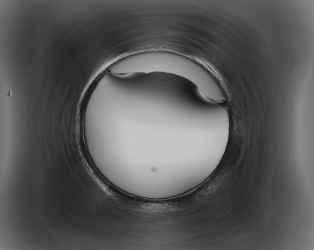 X0000082960894200703020210