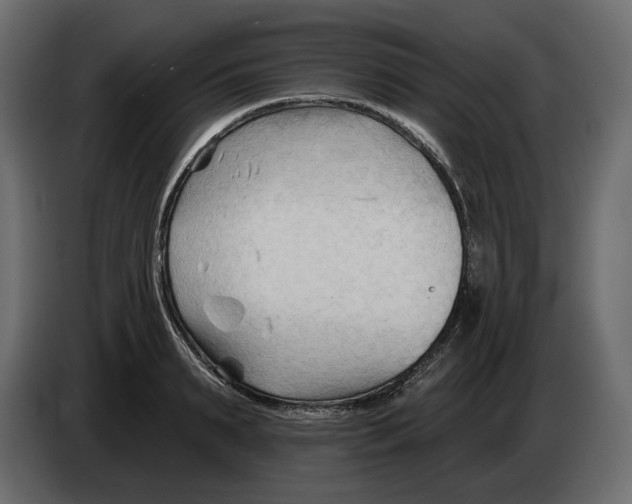 X0000082960895200703020210