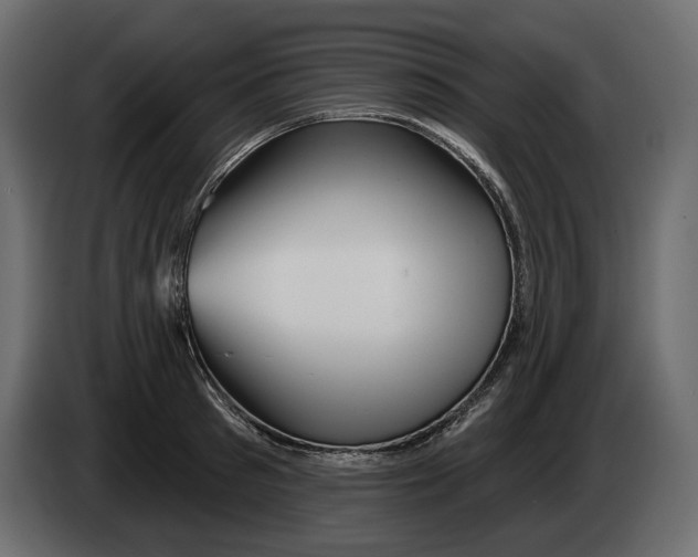 X0000082960897200703020210