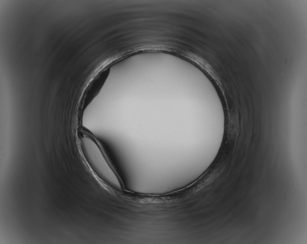 X0000082960898200703020210