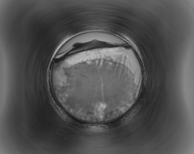 X0000082960899200703020210