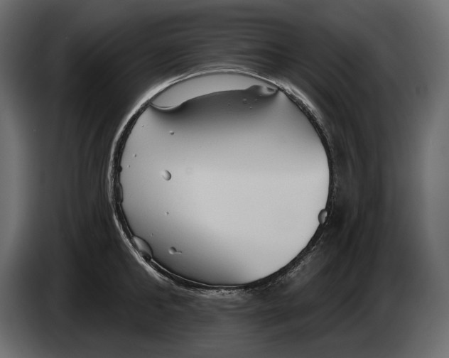 X0000082960902200703020210