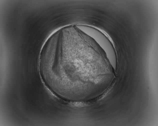 X0000082960903200703020210