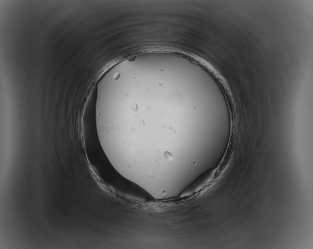 X0000082960905200703020210