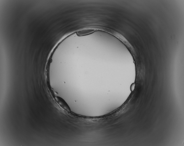 X0000082960908200703020209