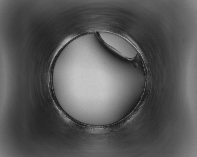 X0000082960909200703020209