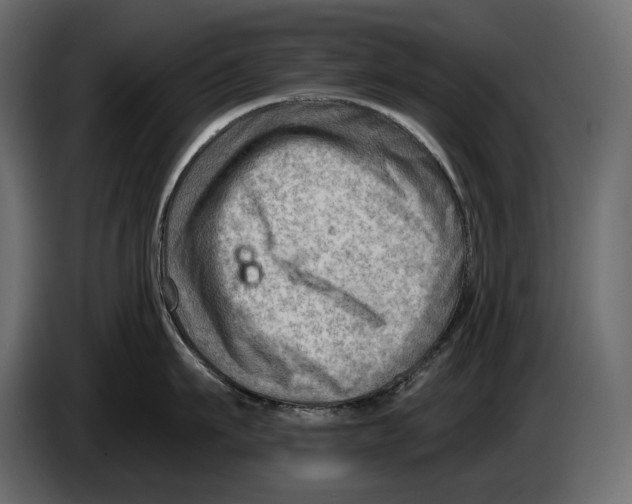 X0000082960911200703020209