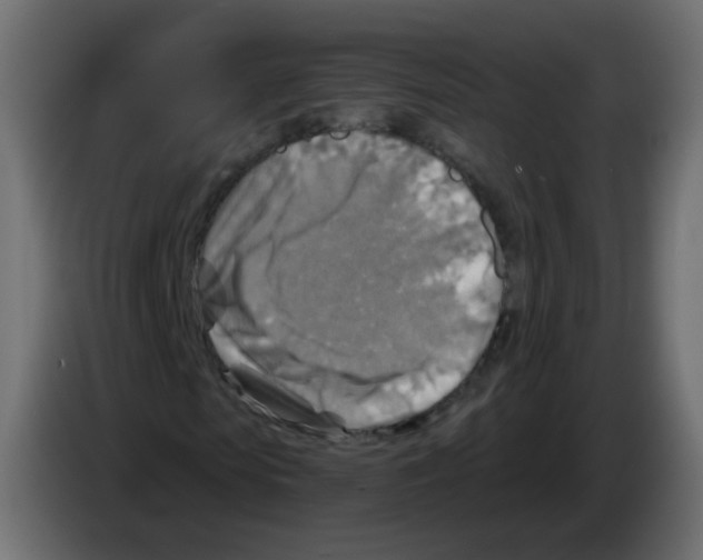 X0000082960913200703020209