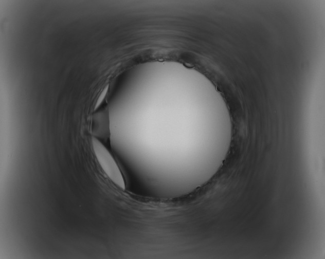 X0000082960914200703020209