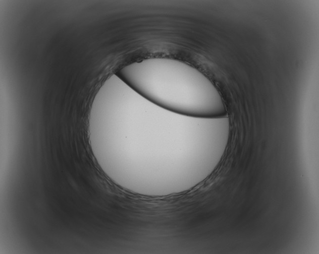 X0000082960916200703020209