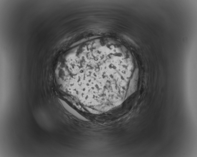 X0000082960917200703020209