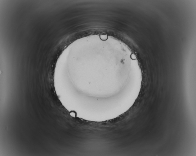 X0000082960918200703020209