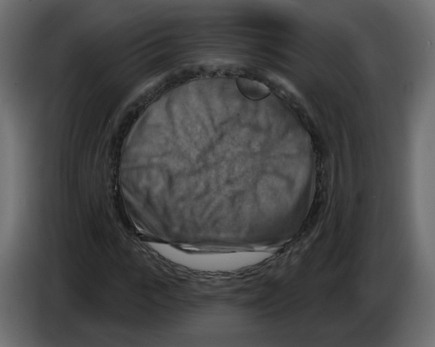 X0000082960919200703020209