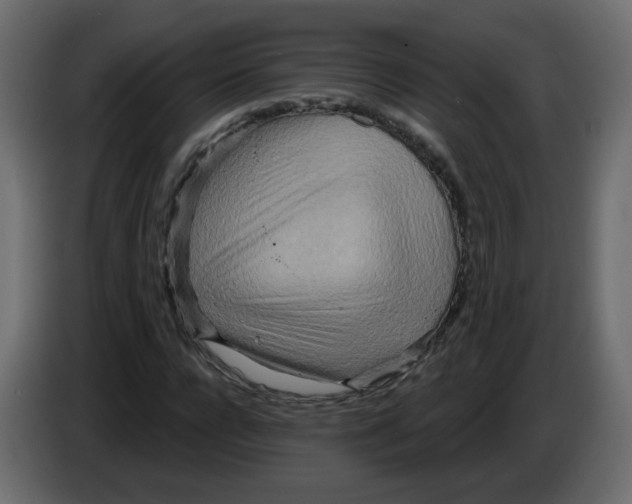 X0000082960920200703020209