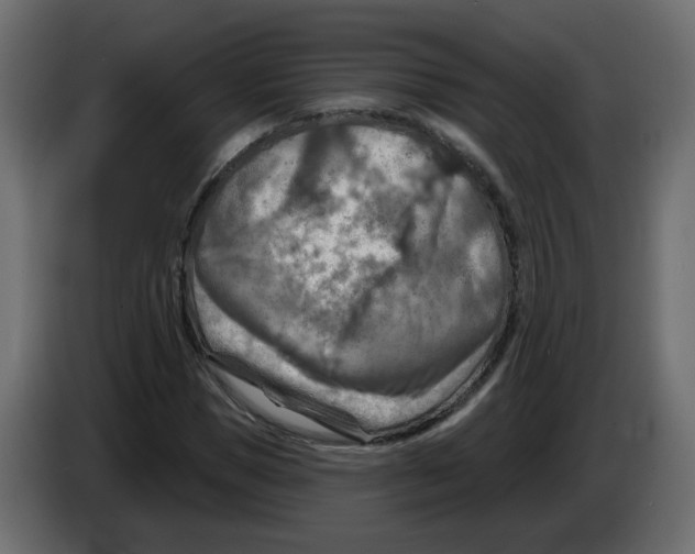 X0000082960921200703020209