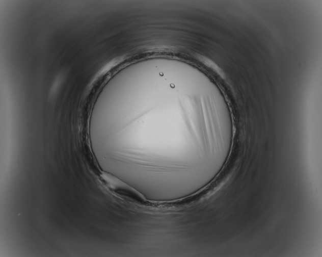 X0000082960922200703020209