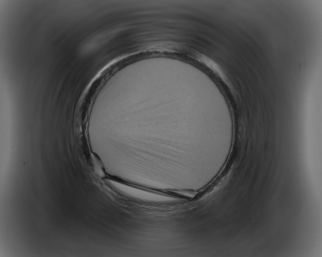 X0000082960923200703020209