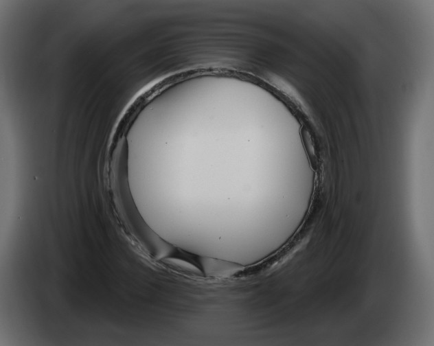 X0000082960924200703020209