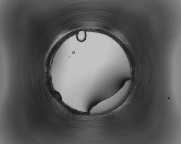 X0000082960926200703020209