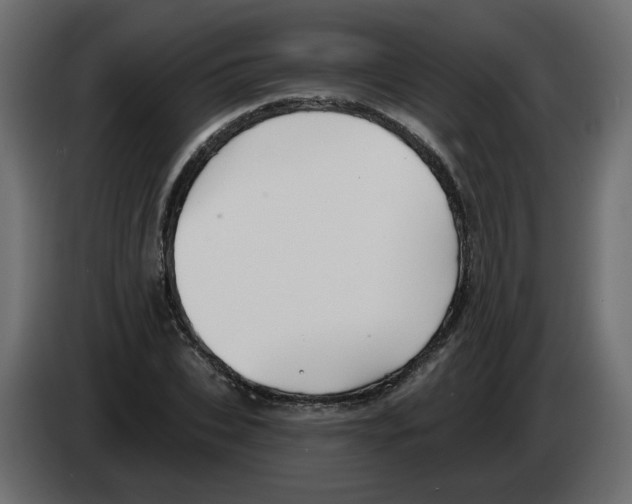 X0000082960927200703020209