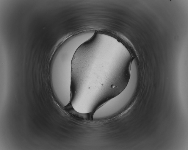 X0000082960930200703020209