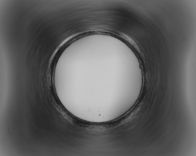 X0000082960931200703020209