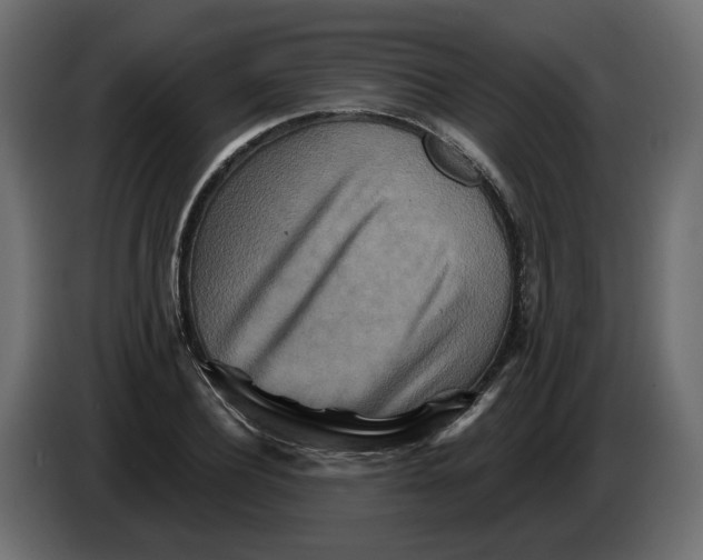 X0000082960932200703020209