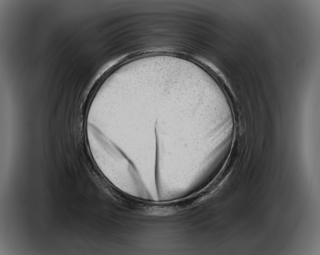 X0000082960933200703020209