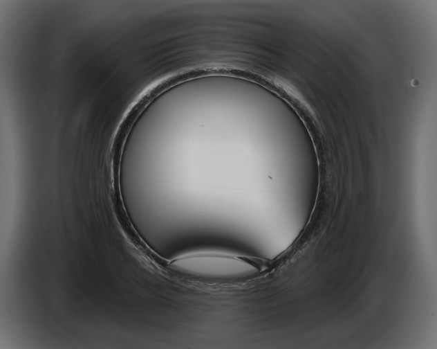 X0000082960934200703020209